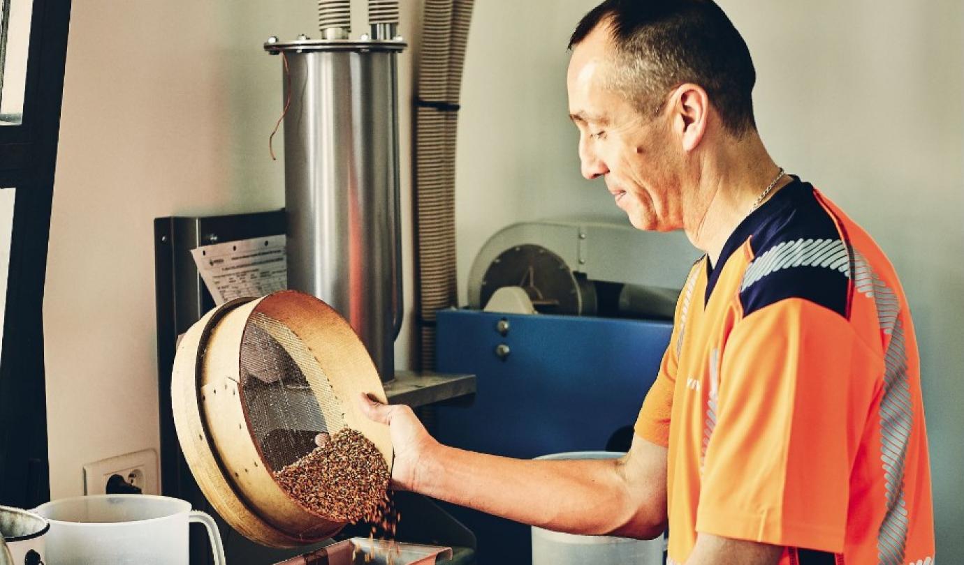 comment faire du malt d'orge-cereales-biere-fabrication