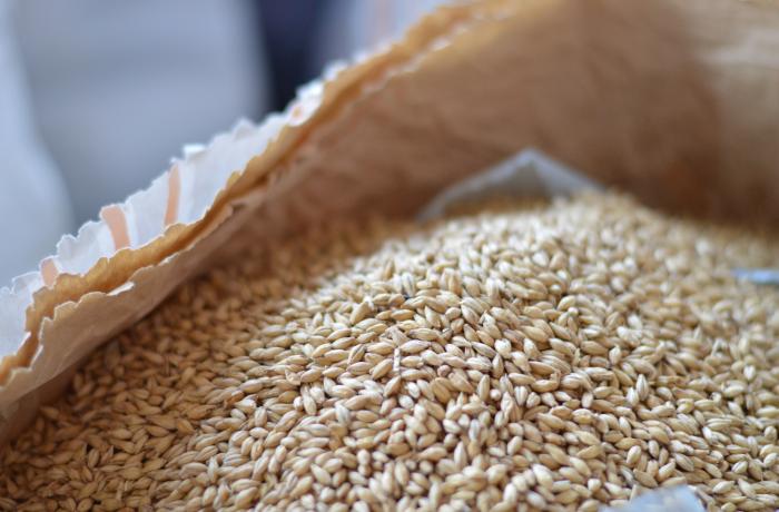 Malt