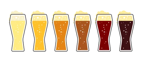 Verres de bière