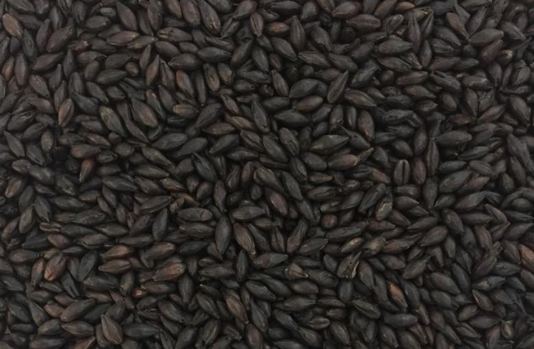 black malt