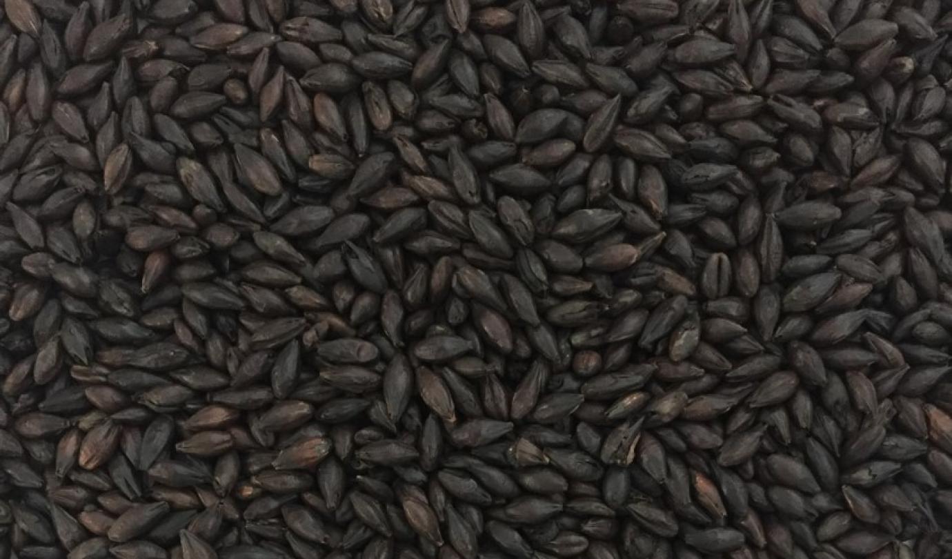 black malt