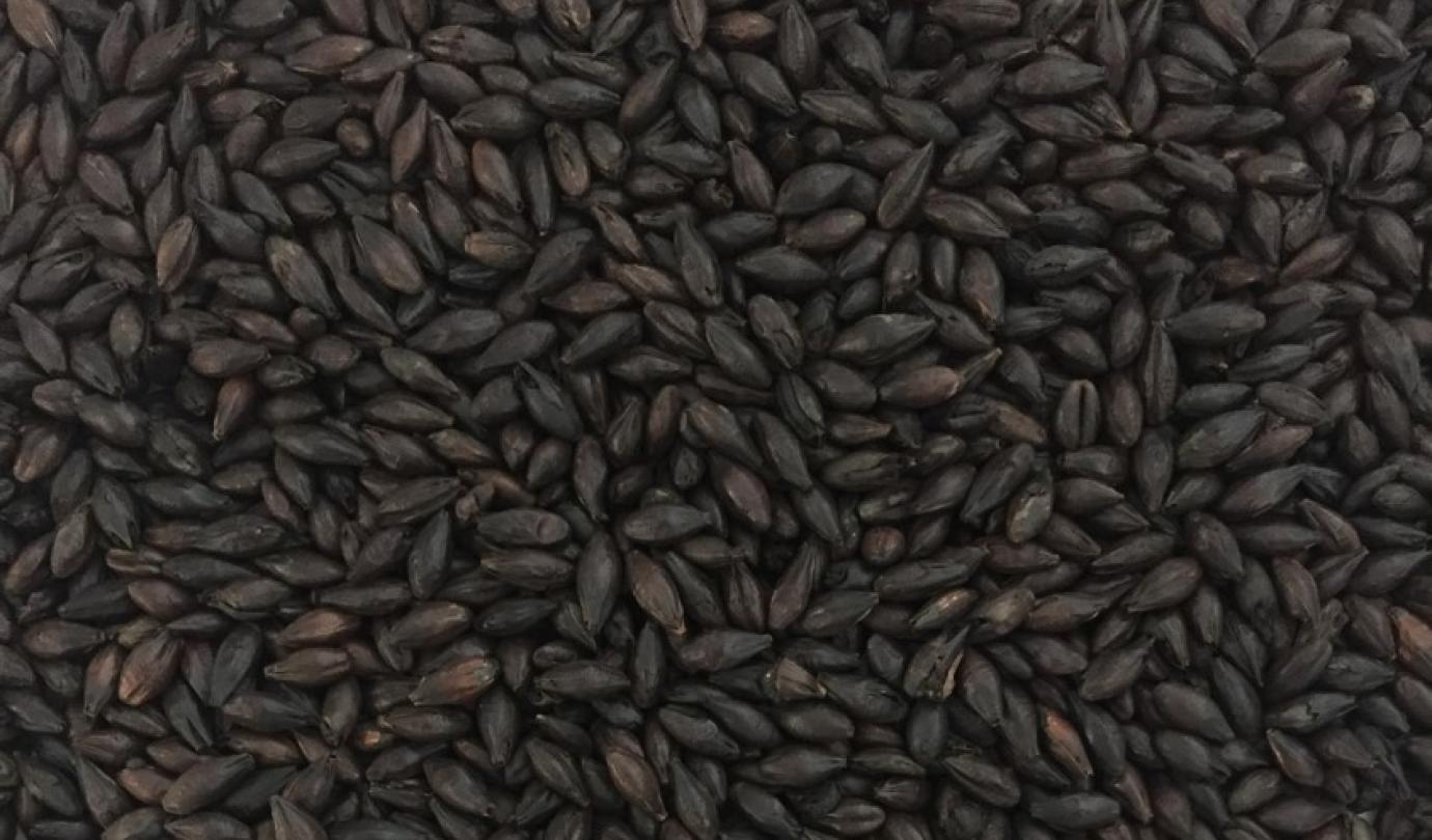 black malt