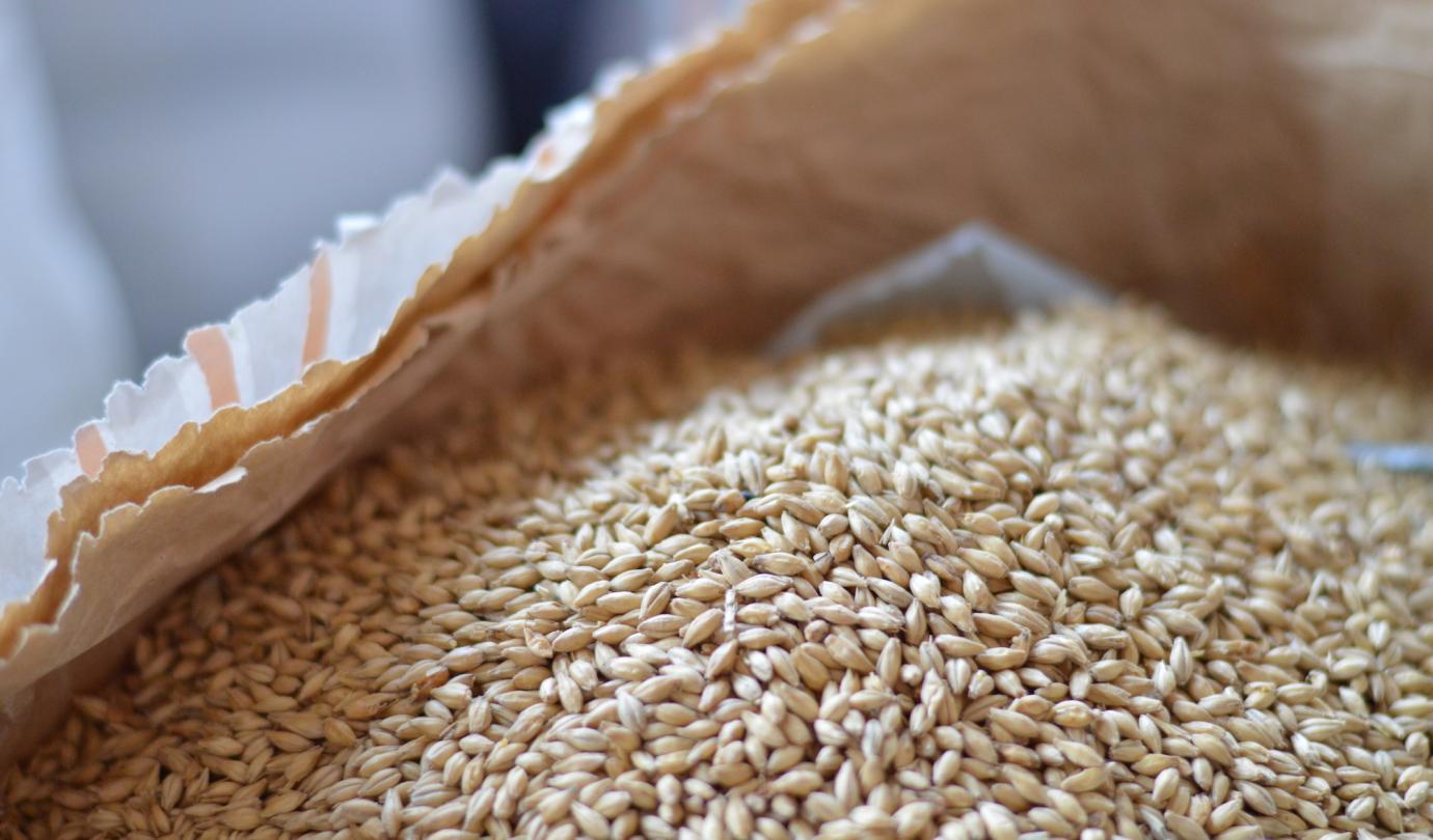 From Malt To Beer Malteurop From Malt To Beer Malteurop