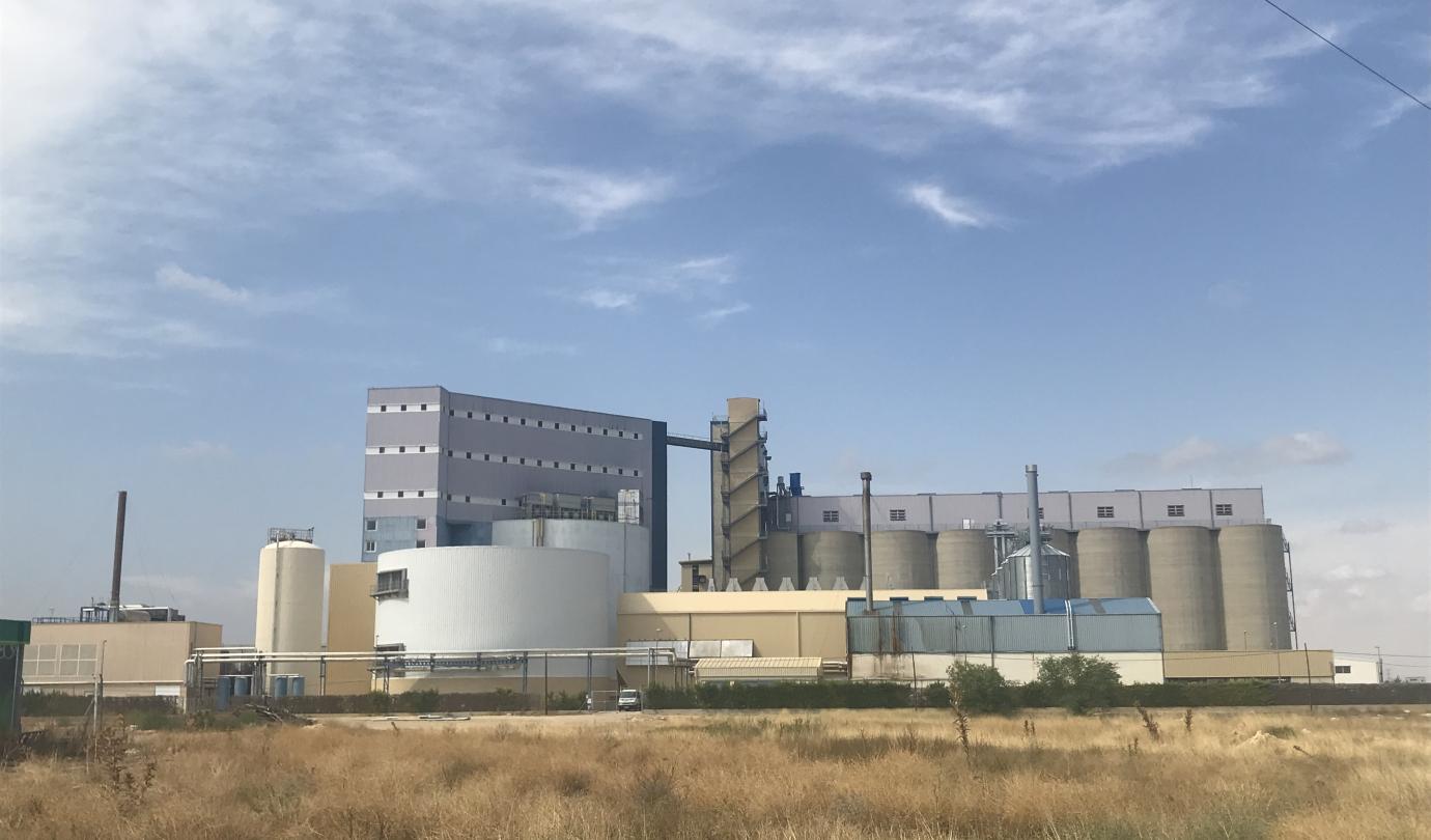planta Albacete