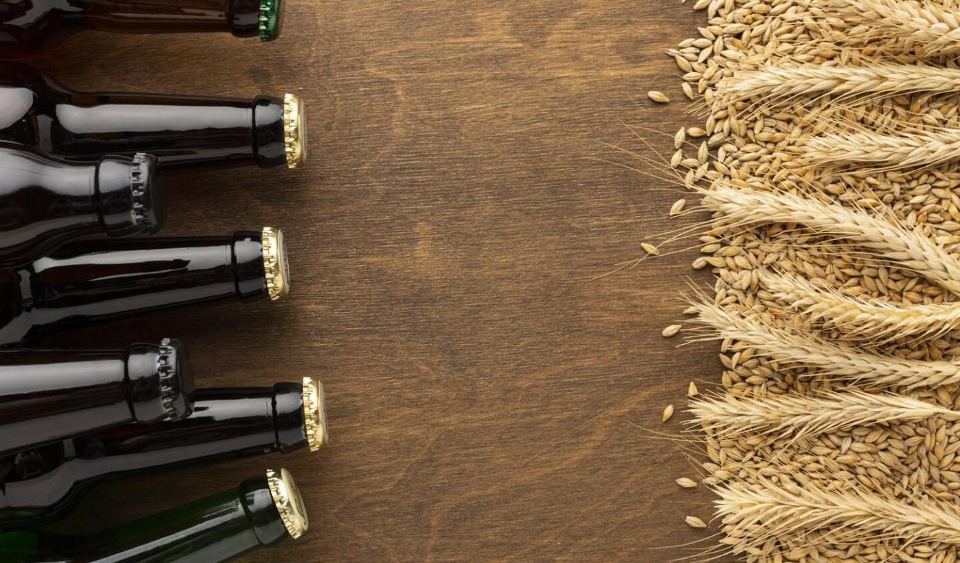 Bouteille de bière et malt